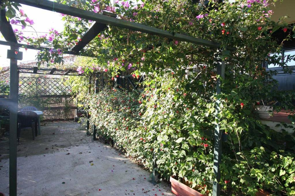 La Casa De Gene Villa Ruilobuca Dış mekan fotoğraf