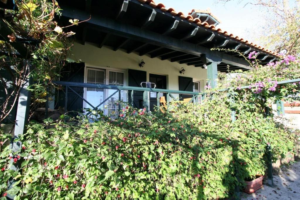 La Casa De Gene Villa Ruilobuca Dış mekan fotoğraf